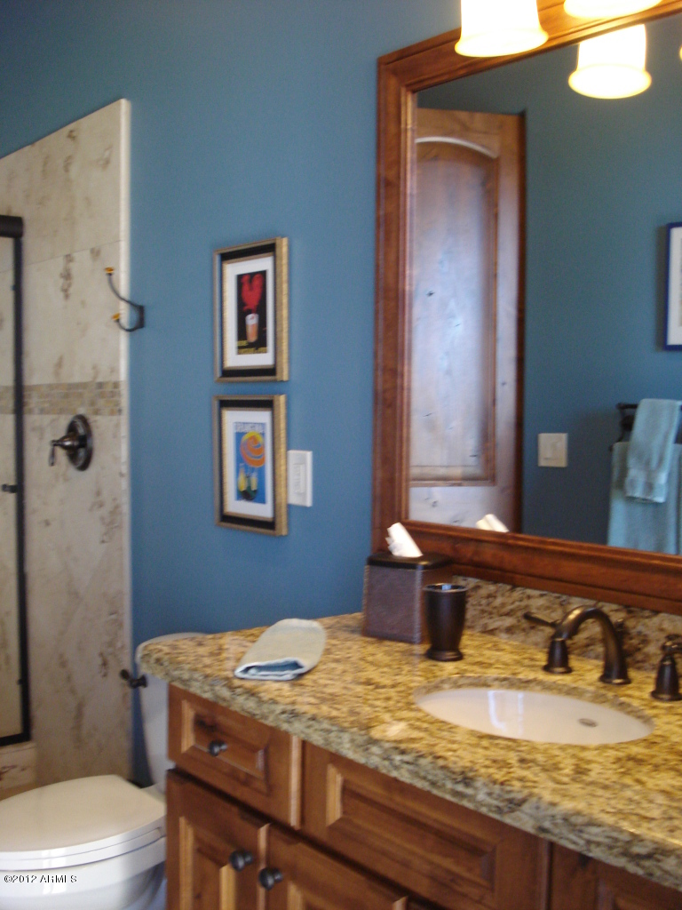 3456 S Sycamore Village Drive, Gold Canyon, AZ 85118