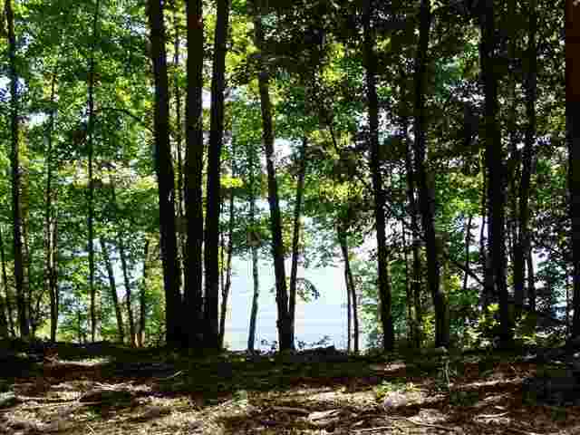 TBD Andrusia Heights, Bemidji, Minnesota Homes & Land - Real Estate