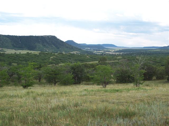 1750 TOMAH Road, Larkspur, Colorado Homes & Land - Real Estate