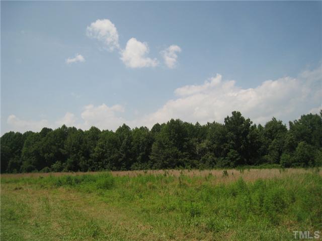 0 Hopkins Chapel Road, Zebulon, NC 27597